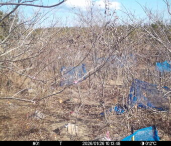 Jan 26 2026 10:13:48, #01