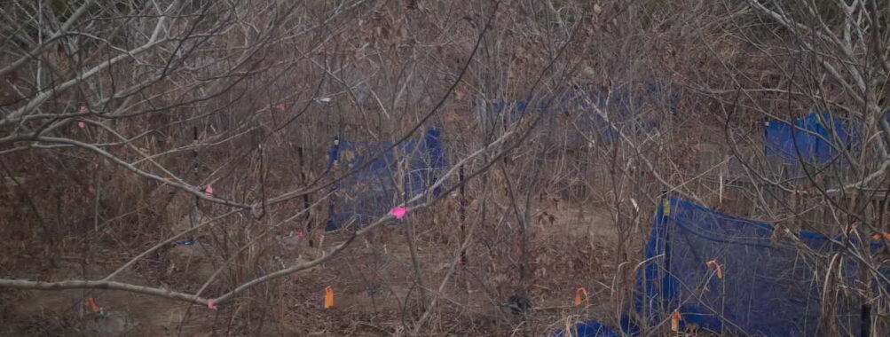 Jan 26 2026 13:13:47, #01