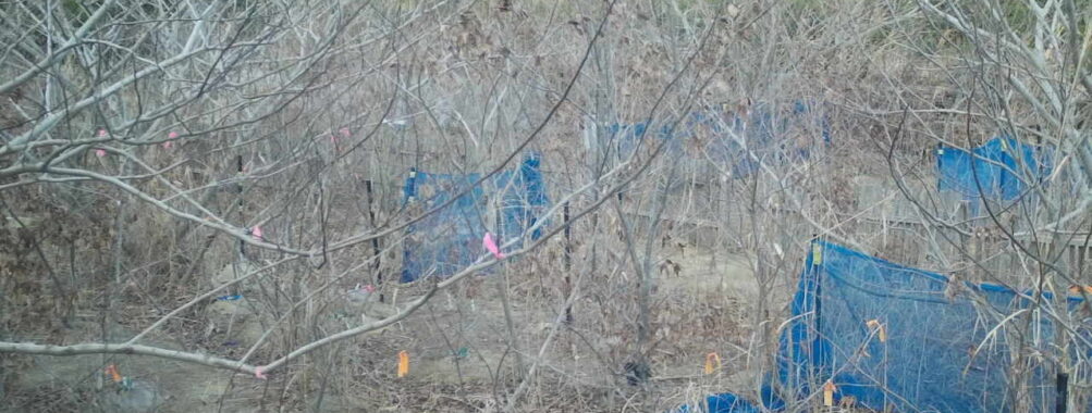 Jan 26 2026 16:13:47, #01