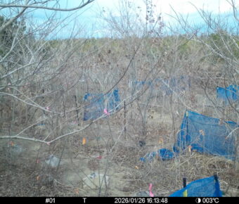 Jan 26 2026 16:13:47, #01