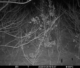 Jan 26 2026 19:13:47, #01