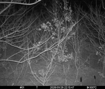 Jan 26 2026 22:13:47, #01