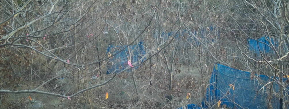 Jan 27 2026  7:13:48, #01