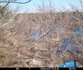 Jan 27 2026 10:13:48, #01