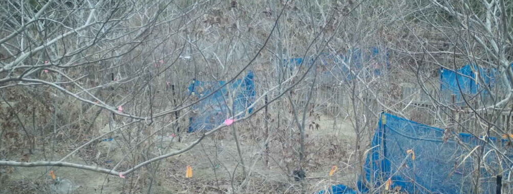 Jan 27 2026 13:13:48, #01