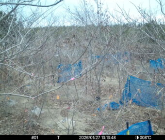 Jan 27 2026 13:13:48, #01