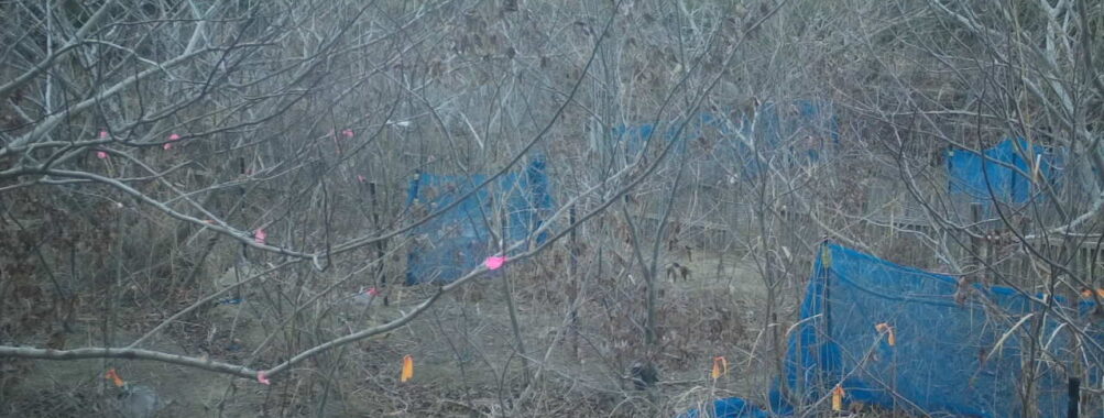 Jan 27 2026 16:13:48, #01