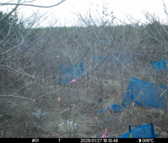 Jan 27 2026 16:13:48, #01