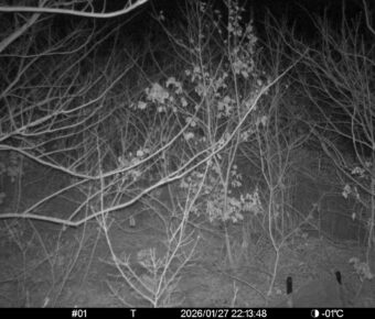 Jan 27 2026 22:13:47, #01