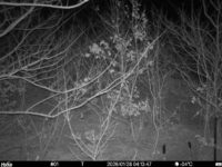 Jan 28 2026  4:13:47, #01