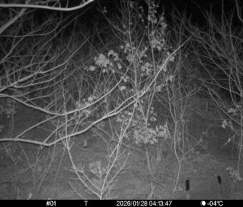 Jan 28 2026  4:13:47, #01