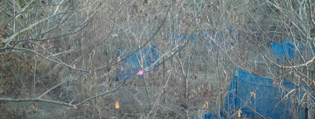 Jan 28 2026  7:13:48, #01