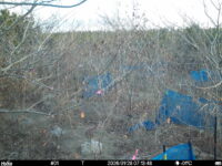 Jan 28 2026  7:13:48, #01