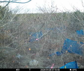 Jan 28 2026  7:13:48, #01