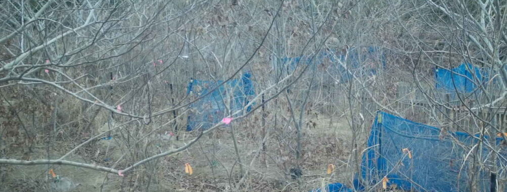 Jan 28 2026 10:13:48, #01