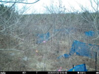 Jan 28 2026 10:13:48, #01