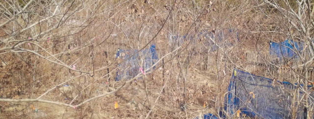 Jan 28 2026 13:13:48, #01