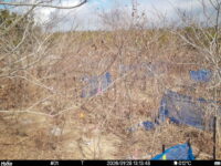 Jan 28 2026 13:13:48, #01