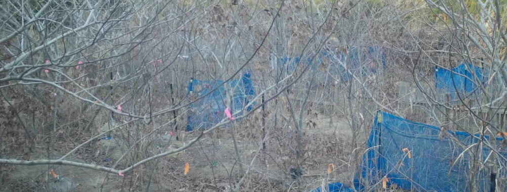 Jan 28 2026 16:13:48, #01