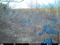 Jan 28 2026 16:13:48, #01