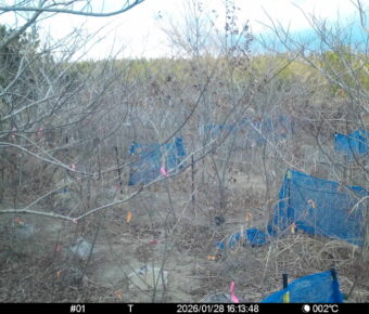 Jan 28 2026 16:13:48, #01