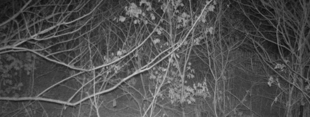 Jan 29 2026  1:13:46, #01