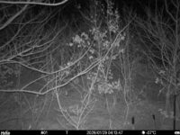 Jan 29 2026  4:13:47, #01