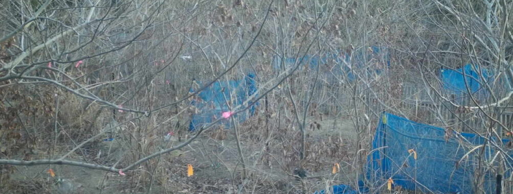 Jan 29 2026  7:13:47, #01