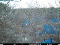 Jan 29 2026  7:13:47, #01