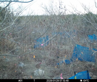 Jan 29 2026  7:13:47, #01