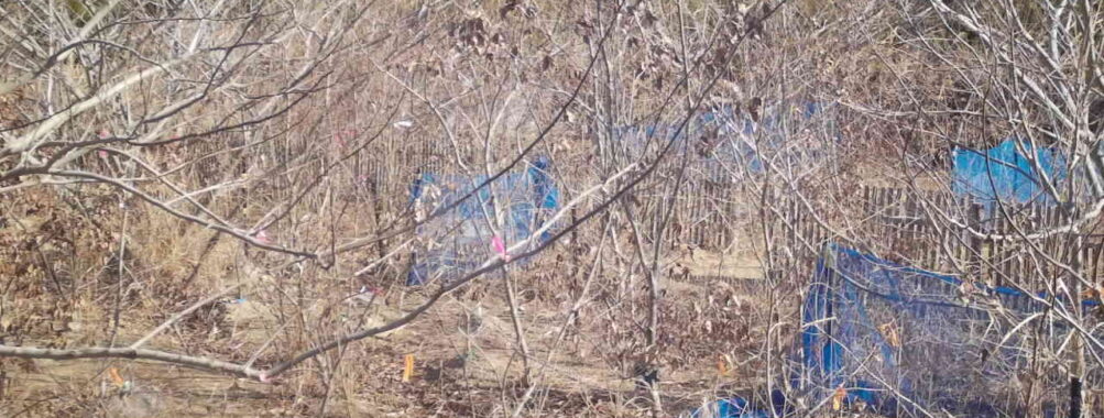 Jan 29 2026 10:13:48, #01