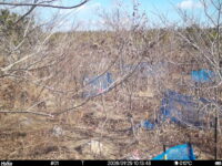 Jan 29 2026 10:13:48, #01