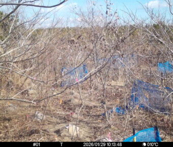 Jan 29 2026 10:13:48, #01