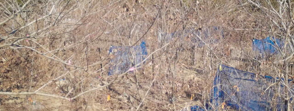 Jan 29 2026 13:13:47, #01