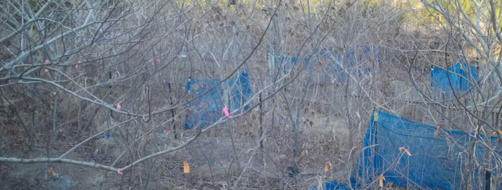 Jan 29 2026 16:13:47, #01