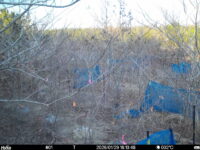 Jan 29 2026 16:13:47, #01