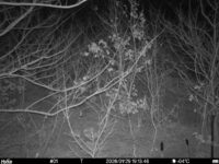 Jan 29 2026 19:13:46, #01