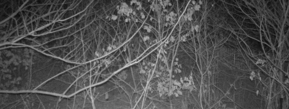 Jan 30 2026  1:13:47, #01