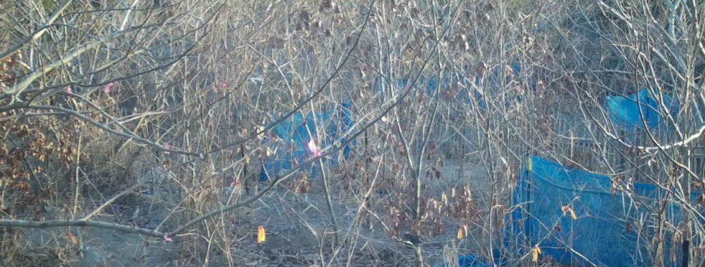 Jan 30 2026  7:13:48, #01