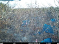 Jan 30 2026  7:13:48, #01