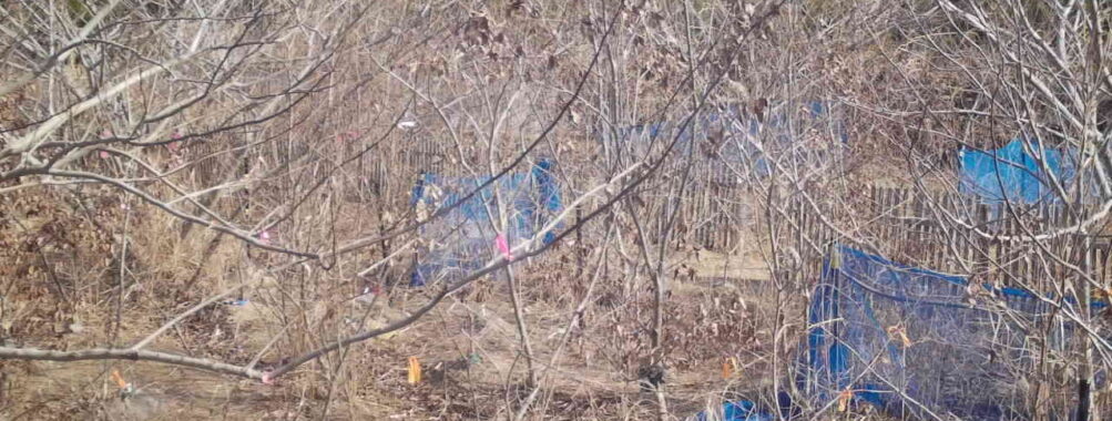 Jan 30 2026 10:13:47, #01