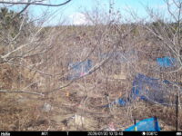 Jan 30 2026 10:13:47, #01