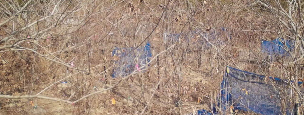 Jan 30 2026 13:13:48, #01