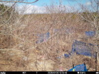 Jan 30 2026 13:13:48, #01