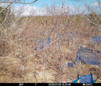 Jan 30 2026 13:13:48, #01