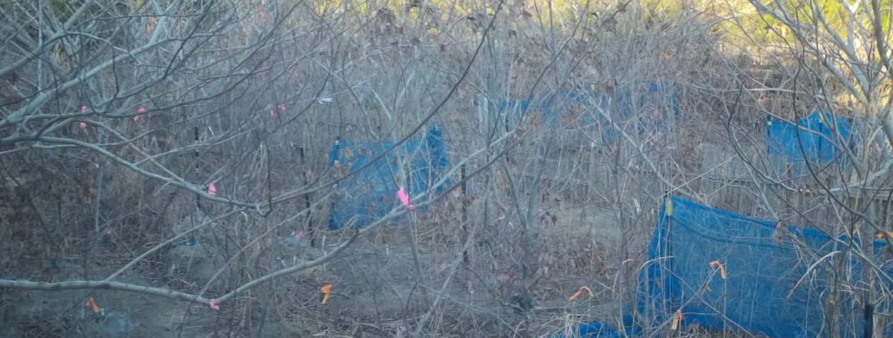 Jan 30 2026 16:13:48, #01