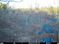 Jan 30 2026 16:13:48, #01