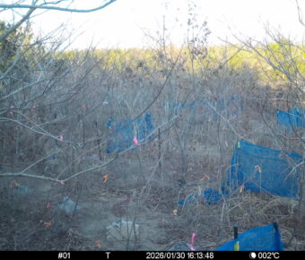 Jan 30 2026 16:13:48, #01