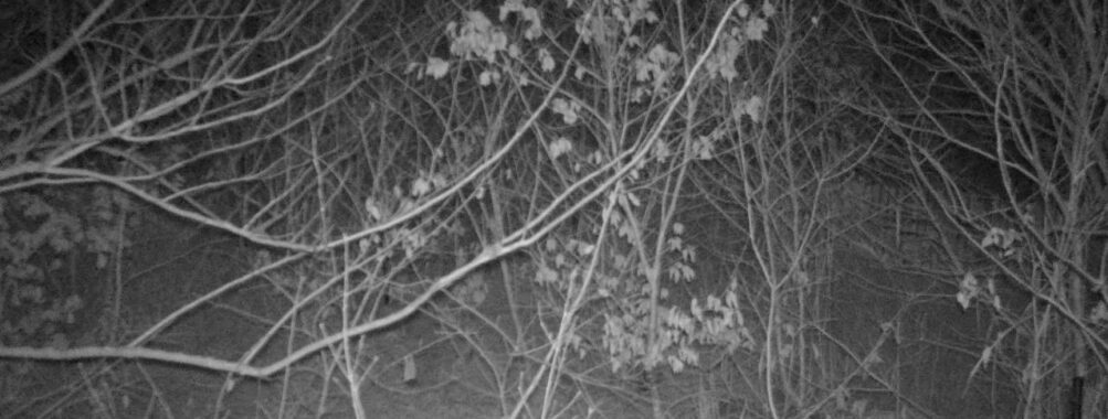 Jan 30 2026 22:13:47, #01