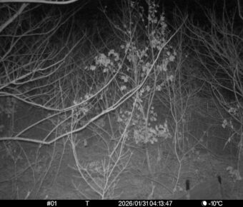 Jan 31 2026  4:13:47, #01